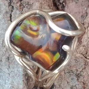 Meet your Posher, Jody